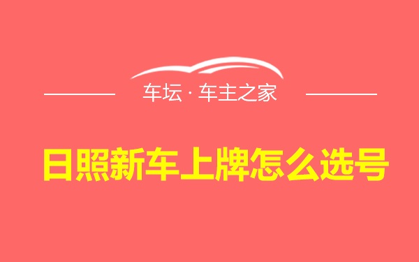 日照新车上牌怎么选号