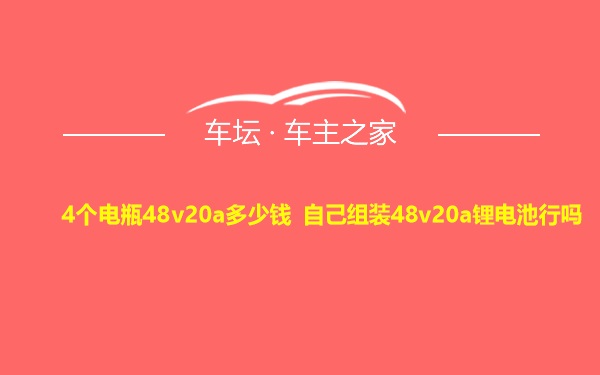 4个电瓶48v20a多少钱 自己组装48v20a锂电池行吗