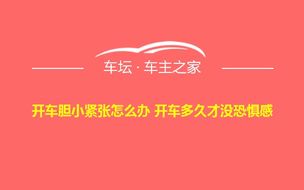 开车胆小紧张怎么办 开车多久才没恐惧感