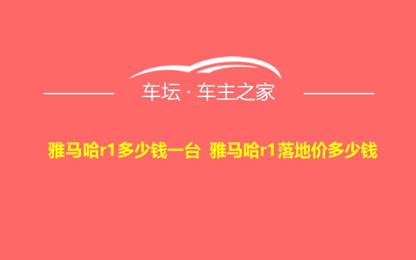 雅马哈r1多少钱一台 雅马哈r1落地价多少钱