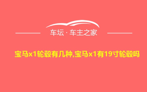 宝马x1轮毂有几种,宝马x1有19寸轮毂吗