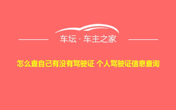 怎么查自己有没有驾驶证 个人驾驶证信息查询