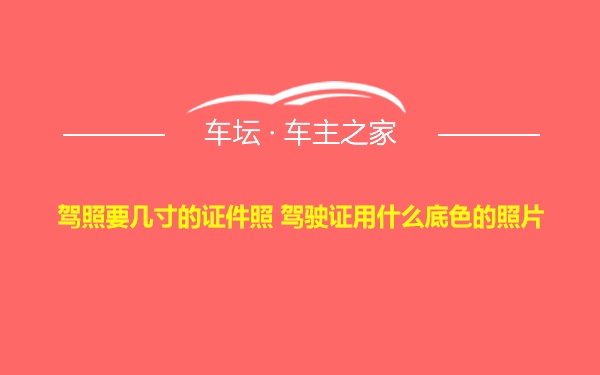 驾照要几寸的证件照 驾驶证用什么底色的照片