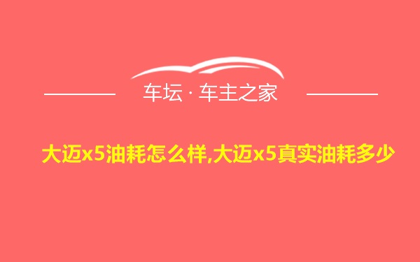 大迈x5油耗怎么样,大迈x5真实油耗多少