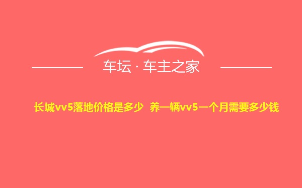 长城vv5落地价格是多少 养一辆vv5一个月需要多少钱