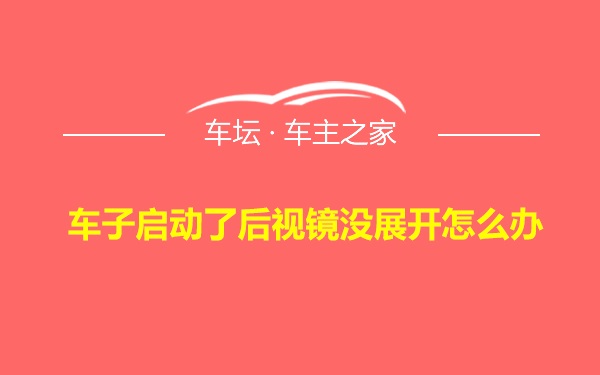 车子启动了后视镜没展开怎么办