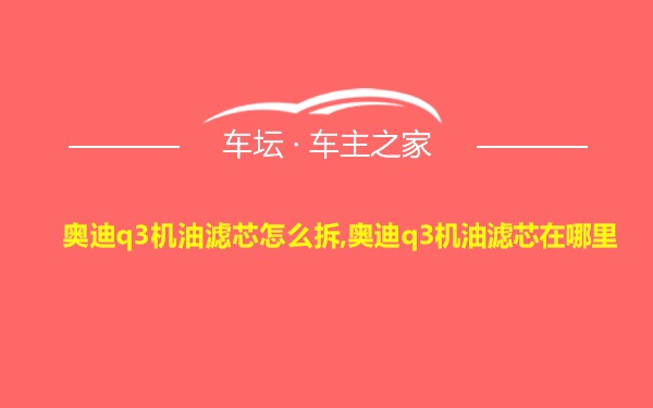 奥迪q3机油滤芯怎么拆,奥迪q3机油滤芯在哪里