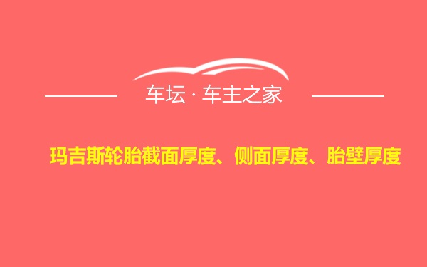 玛吉斯轮胎截面厚度、侧面厚度、胎壁厚度