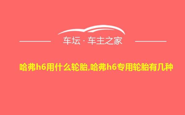 哈弗h6用什么轮胎,哈弗h6专用轮胎有几种