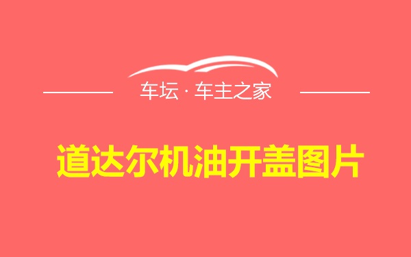 道达尔机油开盖图片