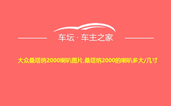 大众桑塔纳2000喇叭图片,桑塔纳2000的喇叭多大/几寸