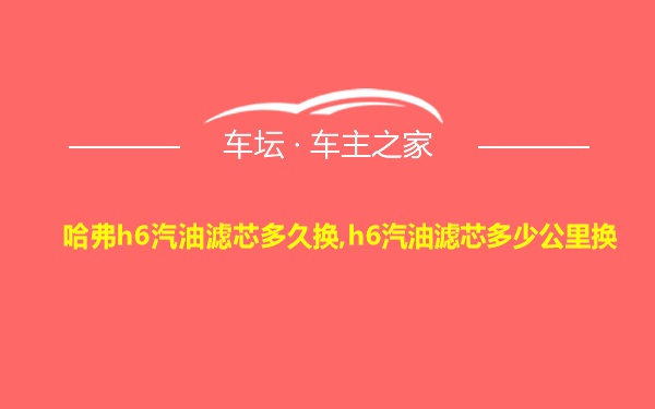 哈弗h6汽油滤芯多久换,h6汽油滤芯多少公里换