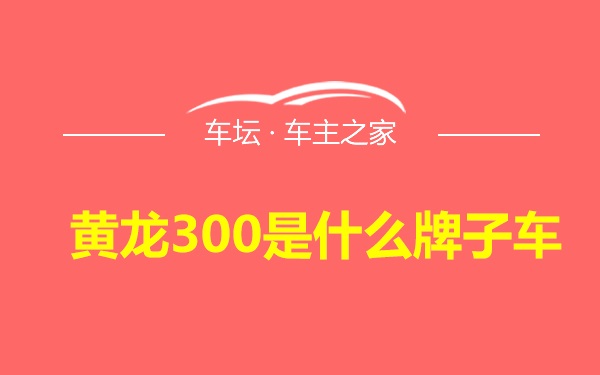 黄龙300是什么牌子车