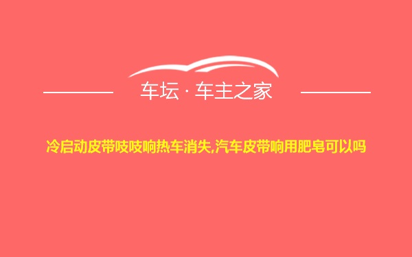 冷启动皮带吱吱响热车消失,汽车皮带响用肥皂可以吗