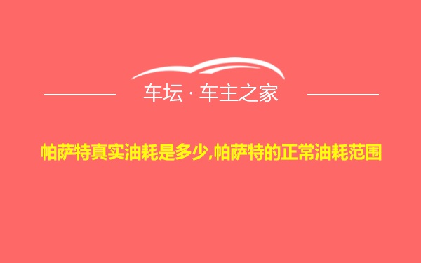 帕萨特真实油耗是多少,帕萨特的正常油耗范围