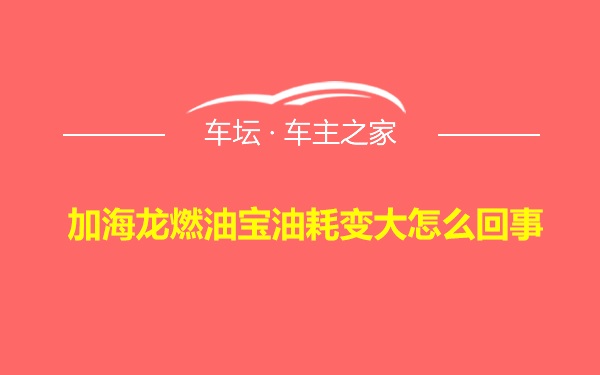 加海龙燃油宝油耗变大怎么回事