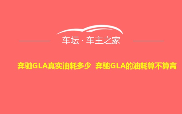 奔驰GLA真实油耗多少 奔驰GLA的油耗算不算高