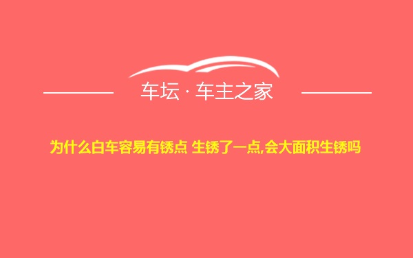 为什么白车容易有锈点 生锈了一点,会大面积生锈吗