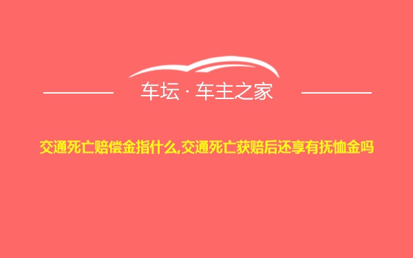 交通死亡赔偿金指什么,交通死亡获赔后还享有抚恤金吗