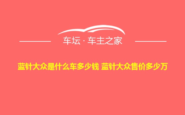 蓝针大众是什么车多少钱 蓝针大众售价多少万