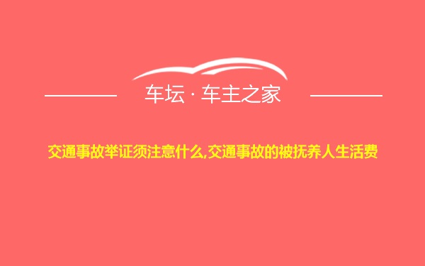 交通事故举证须注意什么,交通事故的被抚养人生活费